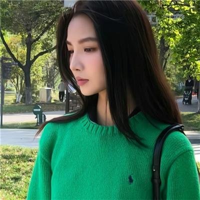 锦囊妙录